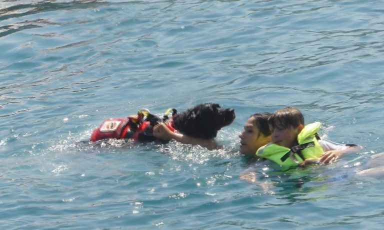 Gli eroi a quattro zampe protagonisti al largo di Vibo Marina – VIDEO