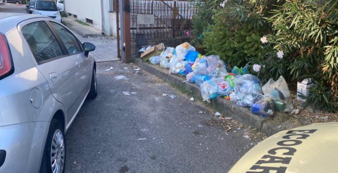 Rifiuti, blitz contro i “furbetti” della differenziata a Vibo Marina e Bivona: fioccano multe