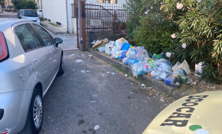 Rifiuti, blitz contro i “furbetti” della differenziata a Vibo Marina e Bivona: fioccano multe