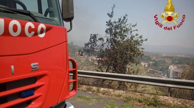La Calabria presenta il Piano antincendio boschivo: schierati droni, fototrappole e forestali