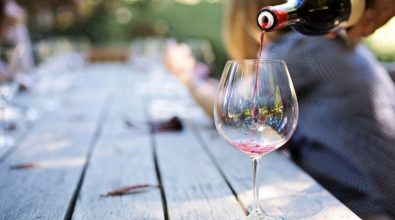 I vini vibonesi tra i migliori del Meridione: successo al XVII Salone “Radici del Sud”