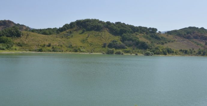 Ripulito il lago dell’Angitola nel Vibonese, in campo FareAmbiente