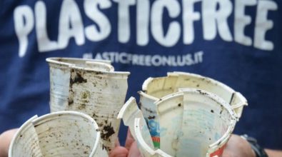 Plastic free approda per la prima volta a San Calogero per ripulire le strade dai rifiuti