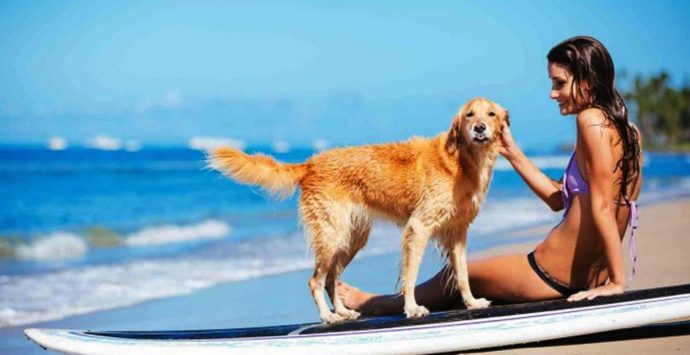 Divieto di animali in spiaggia, il Tar boccia il sindaco di Tropea