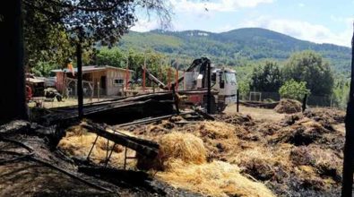 Incendio distrugge azienda agricola a Vallelonga