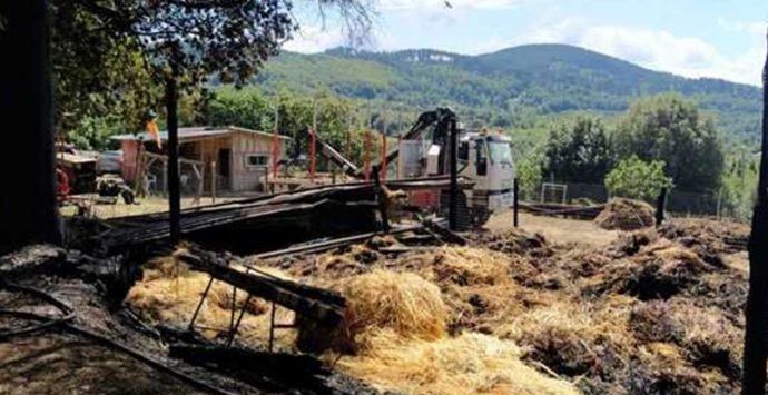 Incendio distrugge azienda agricola a Vallelonga