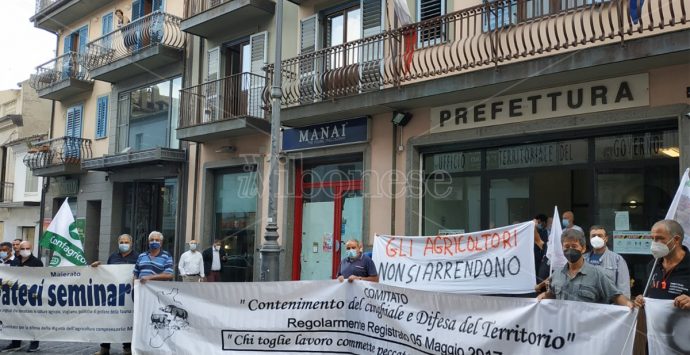 «Ridotti in miseria»: i contadini di Maierato tornano a protestare davanti alla Prefettura -Video