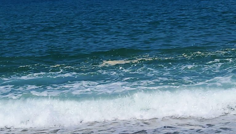 Mare sporco a Pizzo, fermi i fondi per il depuratore. I commissari: «Serve una svolta»