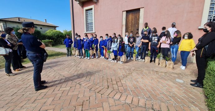 “Un albero per il futuro”, a Mongiana i bambini piantano sedici faggi – Foto