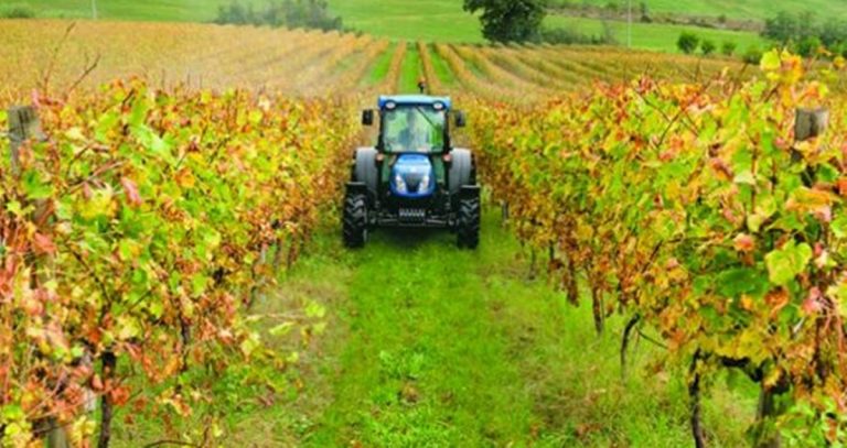 Gal Terre Vibonesi, ultimi giorni per partecipare al bando destinato agli agricoltori