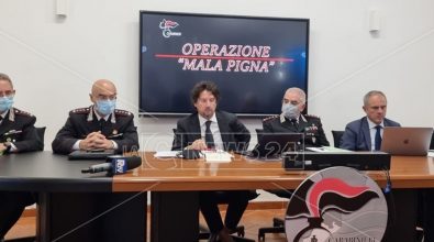 Mala Pigna, i beni confiscati ai clan di Gioia Tauro gestiti sempre dai Piromalli: ecco come