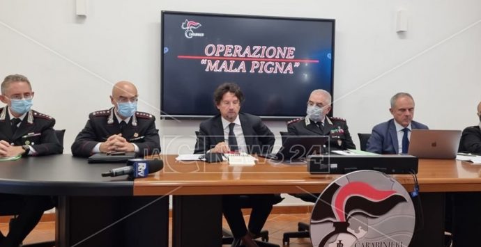 Mala Pigna, i beni confiscati ai clan di Gioia Tauro gestiti sempre dai Piromalli: ecco come