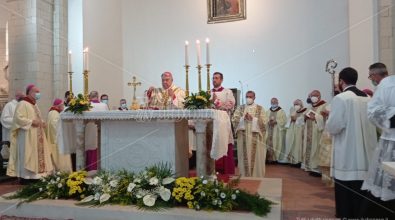 Don Francesco Mottola proclamato beato, la chiesa calabrese in festa – Video