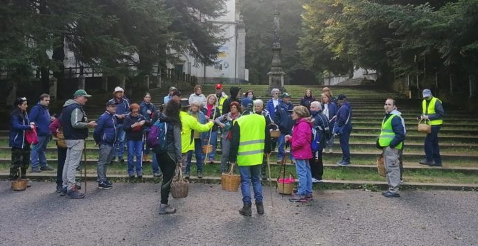 Successo dell’ottava edizione della Festa del Fungo di Serra San Bruno