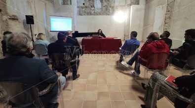 Cis Calabria, illustrato il progetto per valorizzare le bellezze della regione – Video