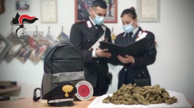Marijuana pronta per essere spacciata: un arresto a Parghelia
