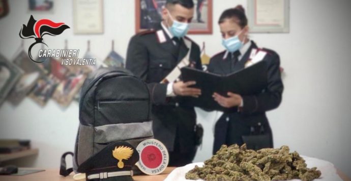 Marijuana pronta per essere spacciata: un arresto a Parghelia