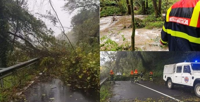 Maltempo, danni nel Vibonese: frane e alberi caduti lungo le strade dei comuni montani