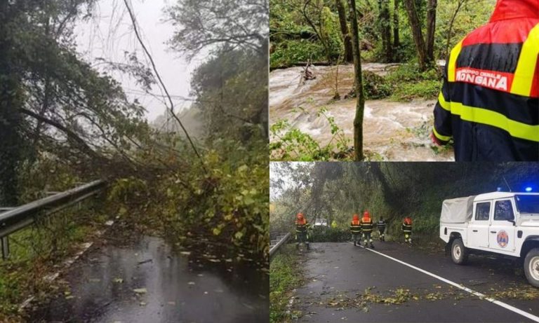 Maltempo, danni nel Vibonese: frane e alberi caduti lungo le strade dei comuni montani