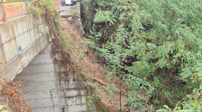 Maltempo a Vibo, crolla la strada d’accesso alla frazione San Pietro – Video