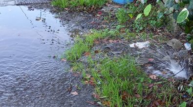 Bivona, perdita d’acqua in via delle Barche. E nessuno interviene