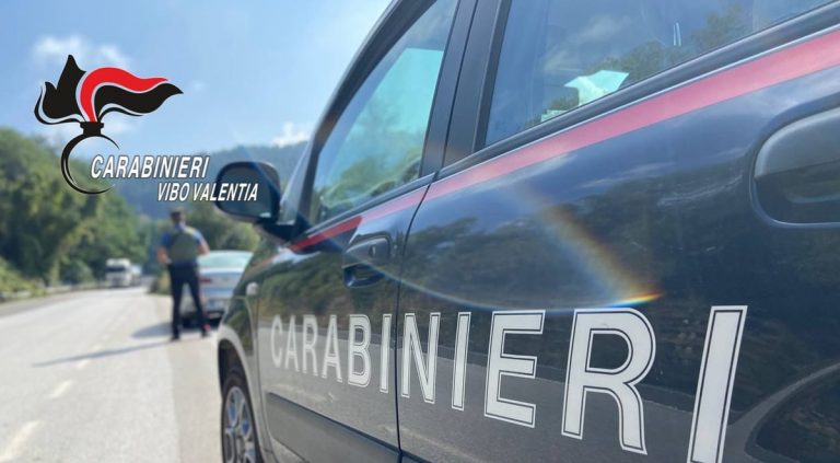 Picchiata e rapinata dell’auto nel Vibonese: arrestati dai carabinieri due giovani – Video