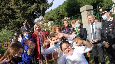 Anche Vibo ha il suo albero dedicato a Giovanni Falcone: «Germogli di speranza» -Video