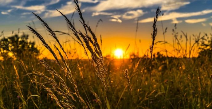 Serra San Bruno, al via “Grano nostro”: previsti laboratori, dibattiti e degustazioni