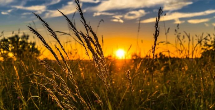 Serra San Bruno, al via “Grano nostro”: previsti laboratori, dibattiti e degustazioni