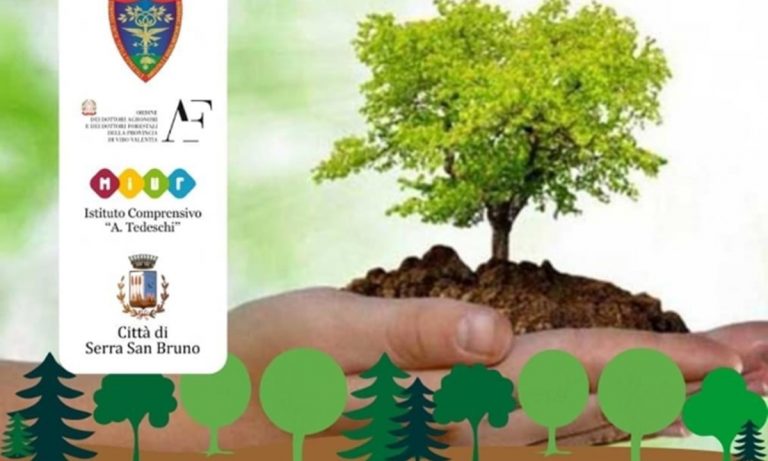 Serra San Bruno, tutto pronto per la Giornata nazionale degli alberi