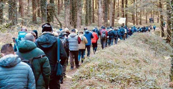 Giù le mani dalla faggeta di Monte Coppari: centinaia di cittadini invadono il bosco