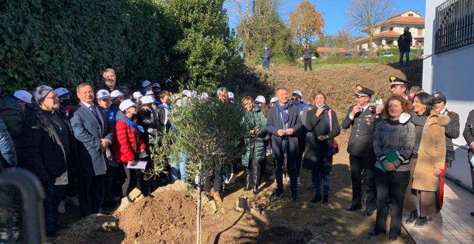 A Ionadi piantato l’albero di ulivo in memoria di Francesco Prestia Lamberti