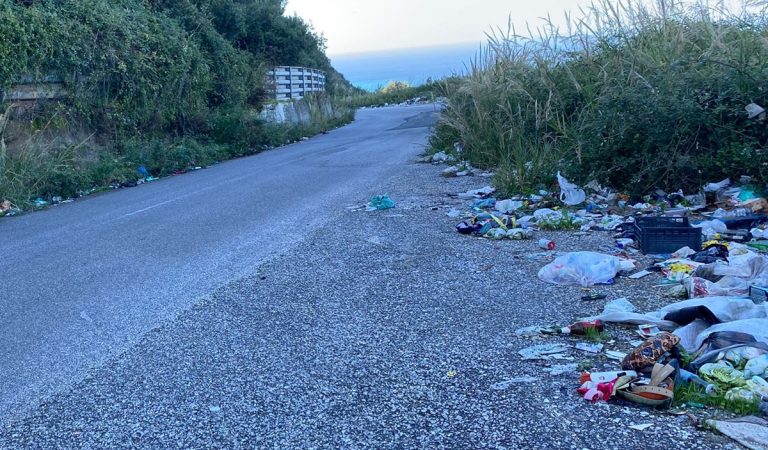 Provinciale per Zambrone abbandonata: «Interventi di pulizia già programmati»