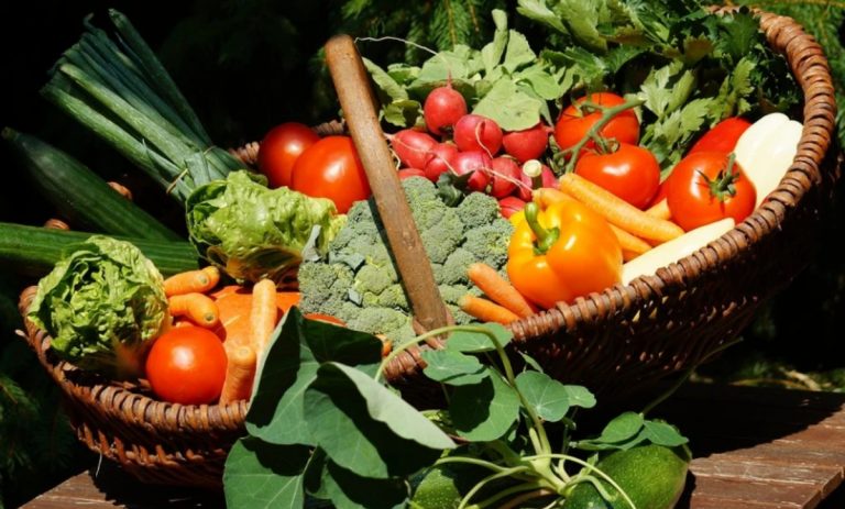 Tropea, al via “La domenica del villaggio” con le aziende agricole di Campagna amica Calabria