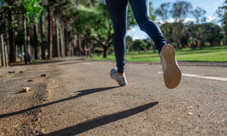 Pizzoni, prosegue l’iter per la realizzazione di una palestra all’aperto