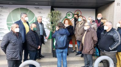 La Cisl pianta un albero di ulivo in segno di solidarietà alla scuola Don Bosco