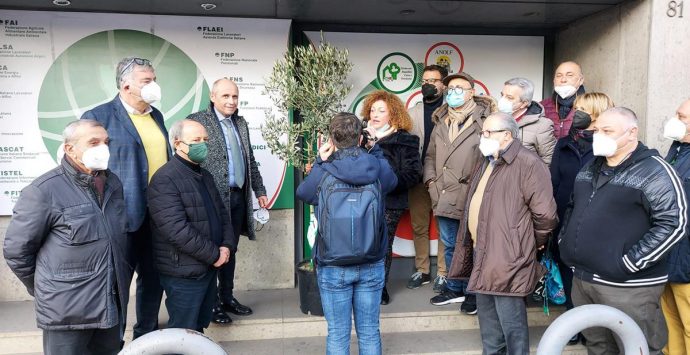 La Cisl pianta un albero di ulivo in segno di solidarietà alla scuola Don Bosco