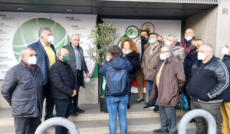 La Cisl pianta un albero di ulivo in segno di solidarietà alla scuola Don Bosco