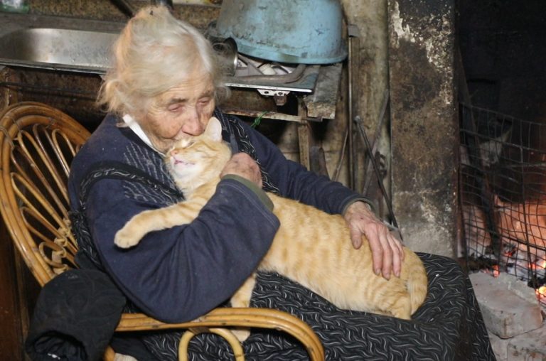Dinami, “Suor” Maria Grazia e quell’amore infinito per i suoi gatti – Video
