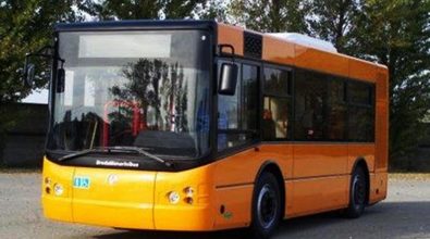 Vibo, trasporto con «bus fantasma e senza pensiline». Coraggio Italia al sindaco: «Provvedere»