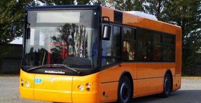 Vibo, trasporto con «bus fantasma e senza pensiline». Coraggio Italia al sindaco: «Provvedere»