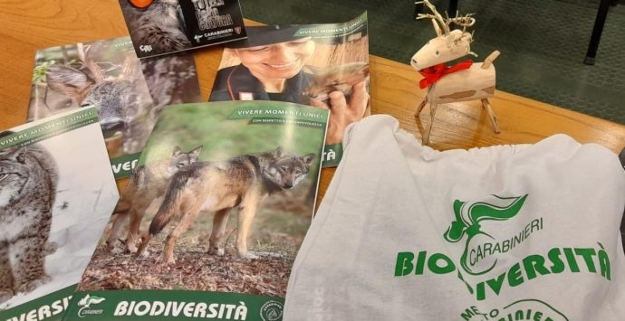 Vibo, la Befana della biodiversità pronta ad approdare all’ospedale Jazzolino