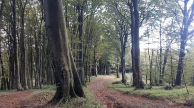 Il parco eolico di Monterosso non si farà, negata l’autorizzazione: «La nostra montagna è salva»