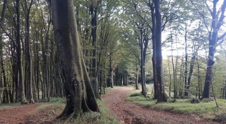 Il parco eolico di Monterosso non si farà, negata l’autorizzazione: «La nostra montagna è salva»