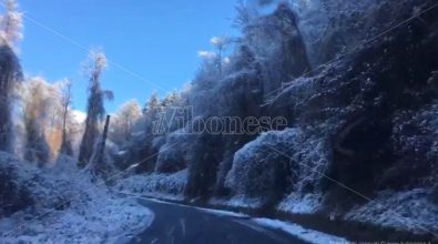 Maltempo: i sindaci di Serra, Mongiana, Nardodipace, Fabrizia, Sorianello e Gerocarne chiudono le scuole