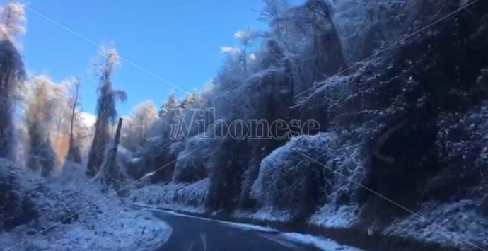 Neve sulle Serre vibonesi: bianco risveglio anche a bassa quota – Video