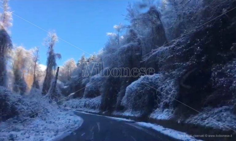 Maltempo: i sindaci di Serra, Mongiana, Nardodipace, Fabrizia, Sorianello e Gerocarne chiudono le scuole