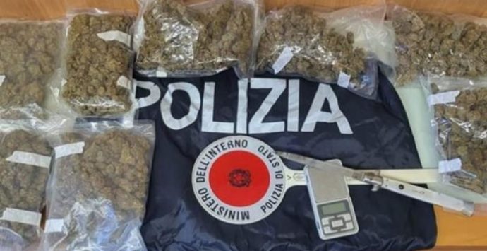 Marijuana in casa, obbligo di firma per giovane di Tropea