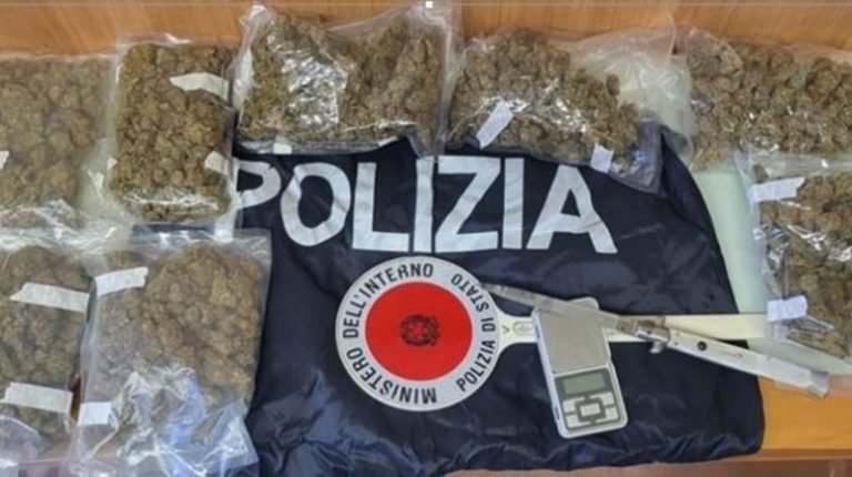 Marijuana in casa, obbligo di firma per giovane di Tropea