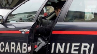 Incendi, “Tolleranza Zero-Calabria”: piromane individuato e preso con i droni